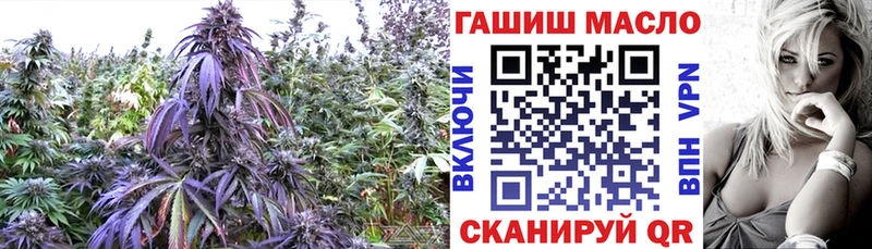 Дистиллят ТГК THC oil  наркотики  Новое Девяткино 