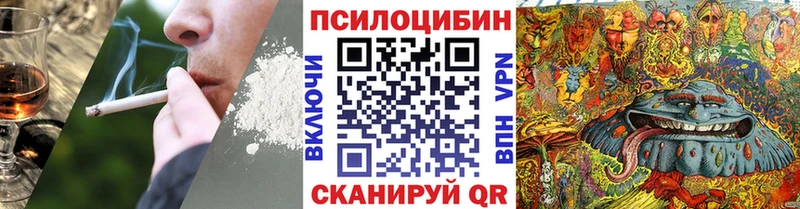 как найти закладки  Новое Девяткино  Псилоцибиновые грибы Magic Shrooms 